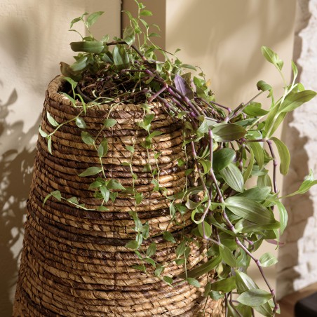 SIXTINE - Large Plant Pot in Natural Abaca Weave