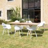 MALO - Set of 6 White Armchairs with Rounded Backrest
