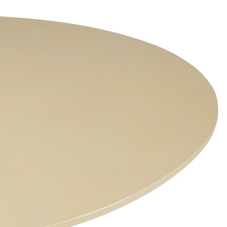GREGOIRE - Organic-Shaped Beige Concrete Coffee Table