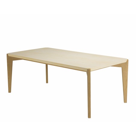 GREGOIRE Rectangular Dining Table 200x100cm - Concrete Top