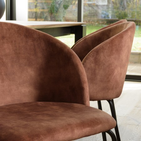 TOM - Set of 2 Mahogany Velvet Chairs | Steel Legs | Wraparound Backrest