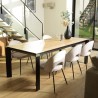 Lot 2 chaises velours beige TOM - Pieds acier noir