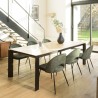 Lot 2 chaises velours vert sapin TOM