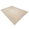Quentin Rectangular Rug 200x290cm - Beige Looped Wool