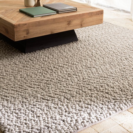 QUENTIN Rectangular Rug 200x290cm in Taupe Looped Wool