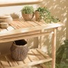 WILL Double Tray Console Table - Natural Teak Branches