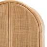 KALLY - 2-door Rattan Cabinet | Honey Brown Cane Work