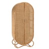 KALLY - 2-door Rattan Cabinet | Honey Brown Cane Work
