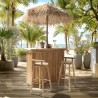 1 bar, 1 parasol and 2 stools with bamboo backrests | Vital Collection