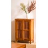 API Brown Cabinet with 2 Louvered Doors in Teak Wood