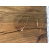 Sideboard aus recyceltem Kiefernholz SANDY - Stauraummöbel 4 Türen
