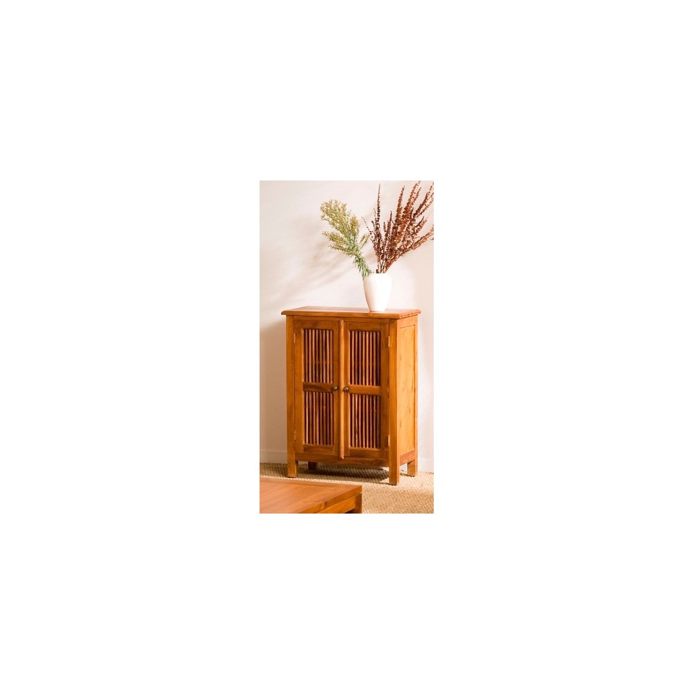 API Brown Cabinet with 2 Louvered Doors in Teak Wood