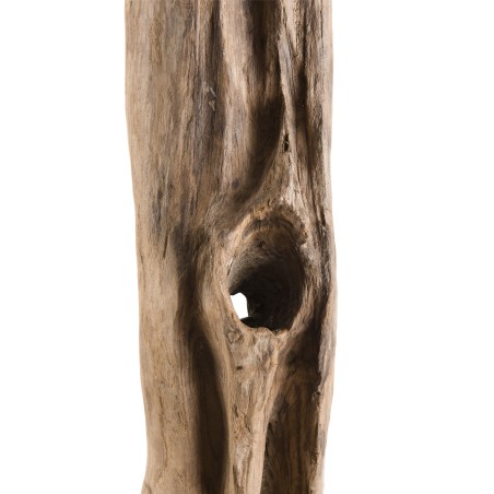 CLARA - Natural Teak Branch Decorative Item 'L'