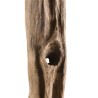 CLARA - Natural Teak Branch Decorative Item 'L'