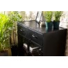 ROMAIN Industrial Black Metal Sideboard - 2 Doors, 2 Drawers