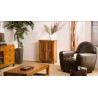 API Brown Cabinet with 2 Louvered Doors in Teak Wood