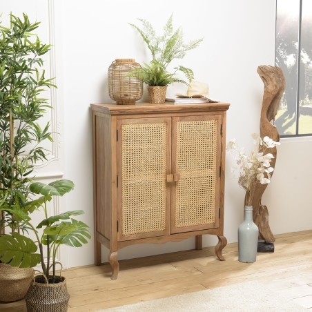 ISA Vintage Brown 2-Door Cabinet - Jamelonier Wood and Rattan